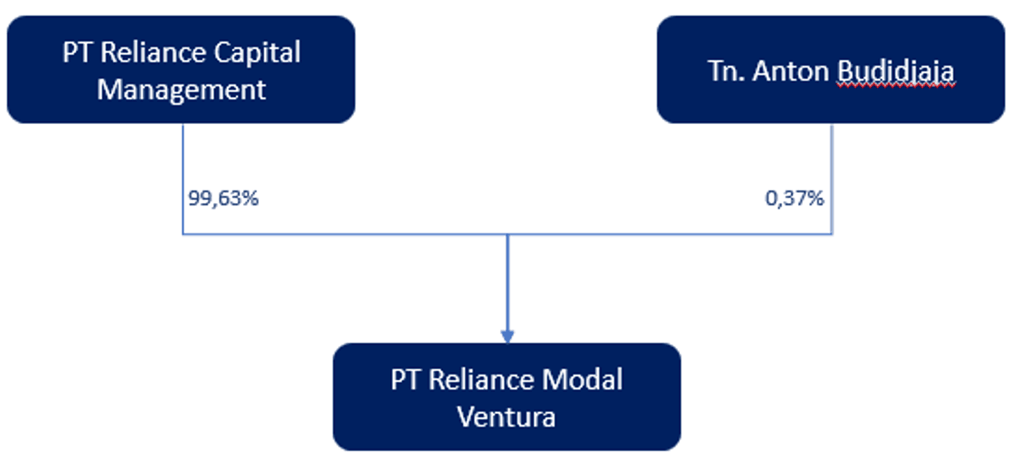 Shareholding Structure Diagram